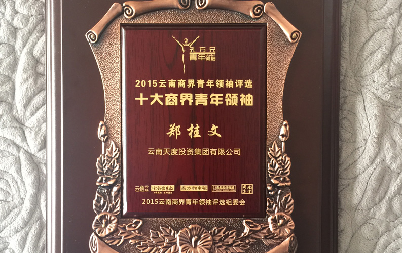 在&ldquo;互聯(lián)網(wǎng)大時(shí)代&rdquo;的背景下，天度作為本土很大和很有名的互聯(lián)網(wǎng)服務(wù)企業(yè)，為近萬家傳統(tǒng)企業(yè)轉(zhuǎn)型互聯(lián)網(wǎng)+提供了服務(wù)和幫助，獲此獎(jiǎng)項(xiàng)后，我們將再接再厲，創(chuàng)造更高的社會(huì)價(jià)值